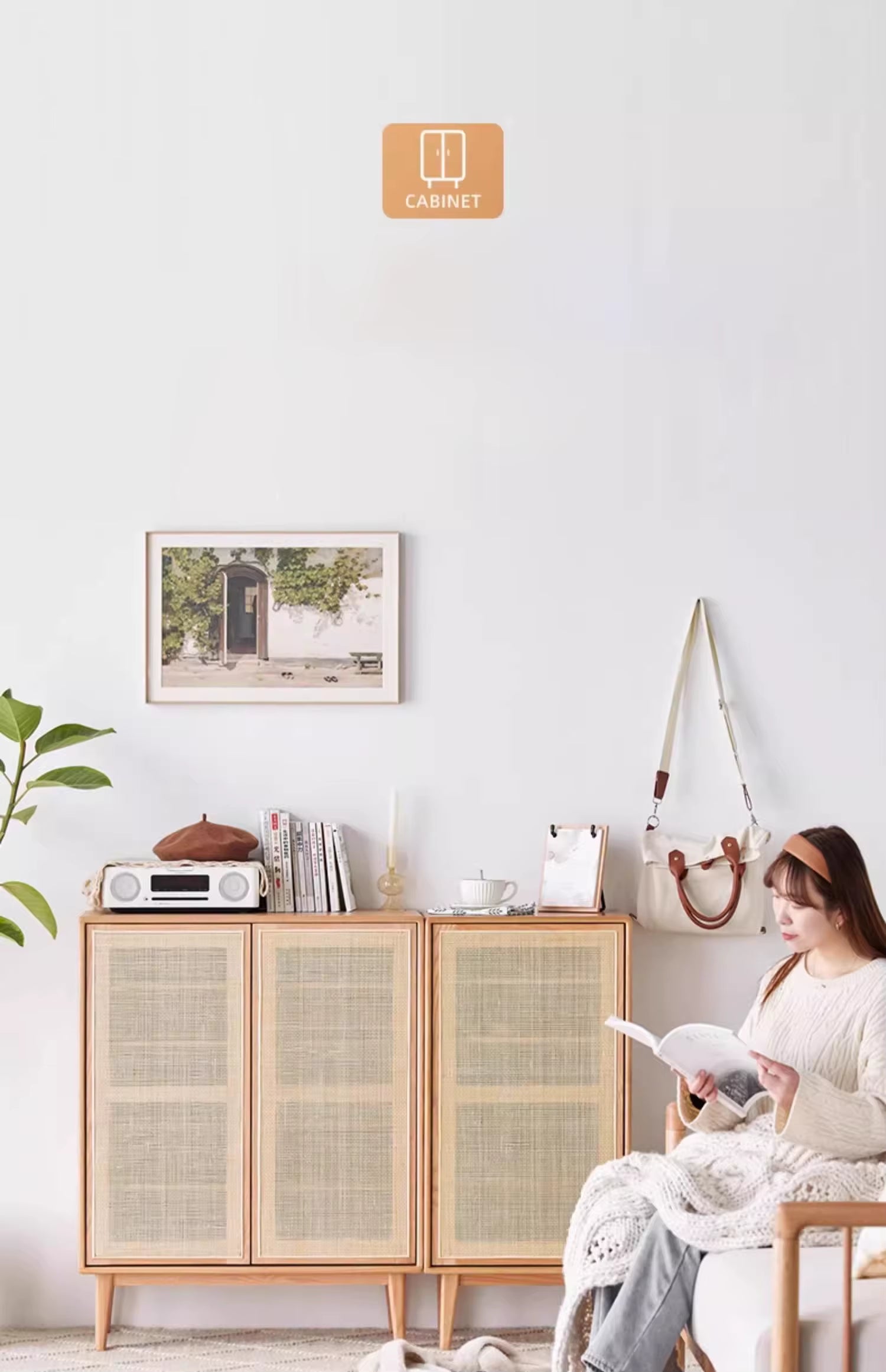 Household Entrance Shoe Cabinet, Solid Wood Rattan Storage Cabinet, Small Household Entrance Cabinet